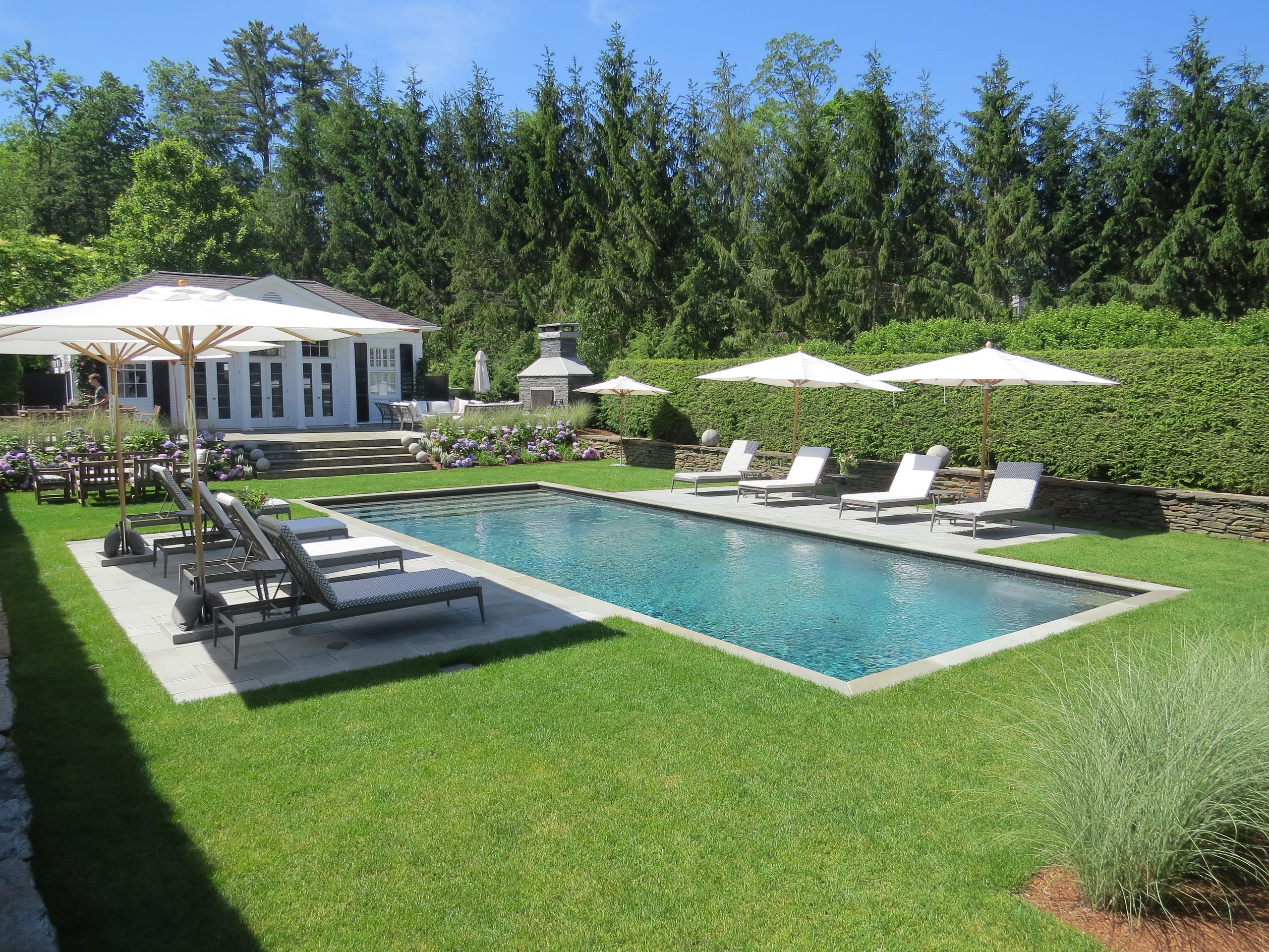 Estate swimming pool framed by lawn, ornamental grasses, and evergreens