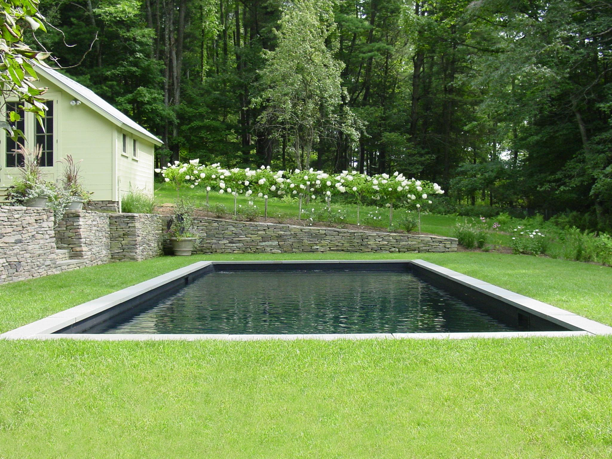Pool and terrace at dusk within a designed landscape