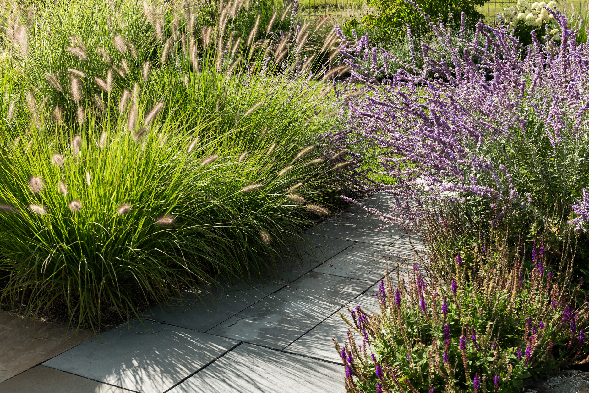 Landscape architecture project