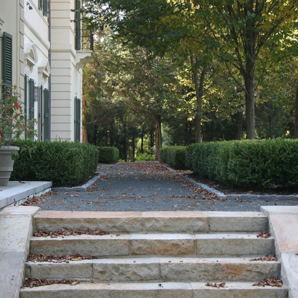 Estate Driveway & Tree Allee