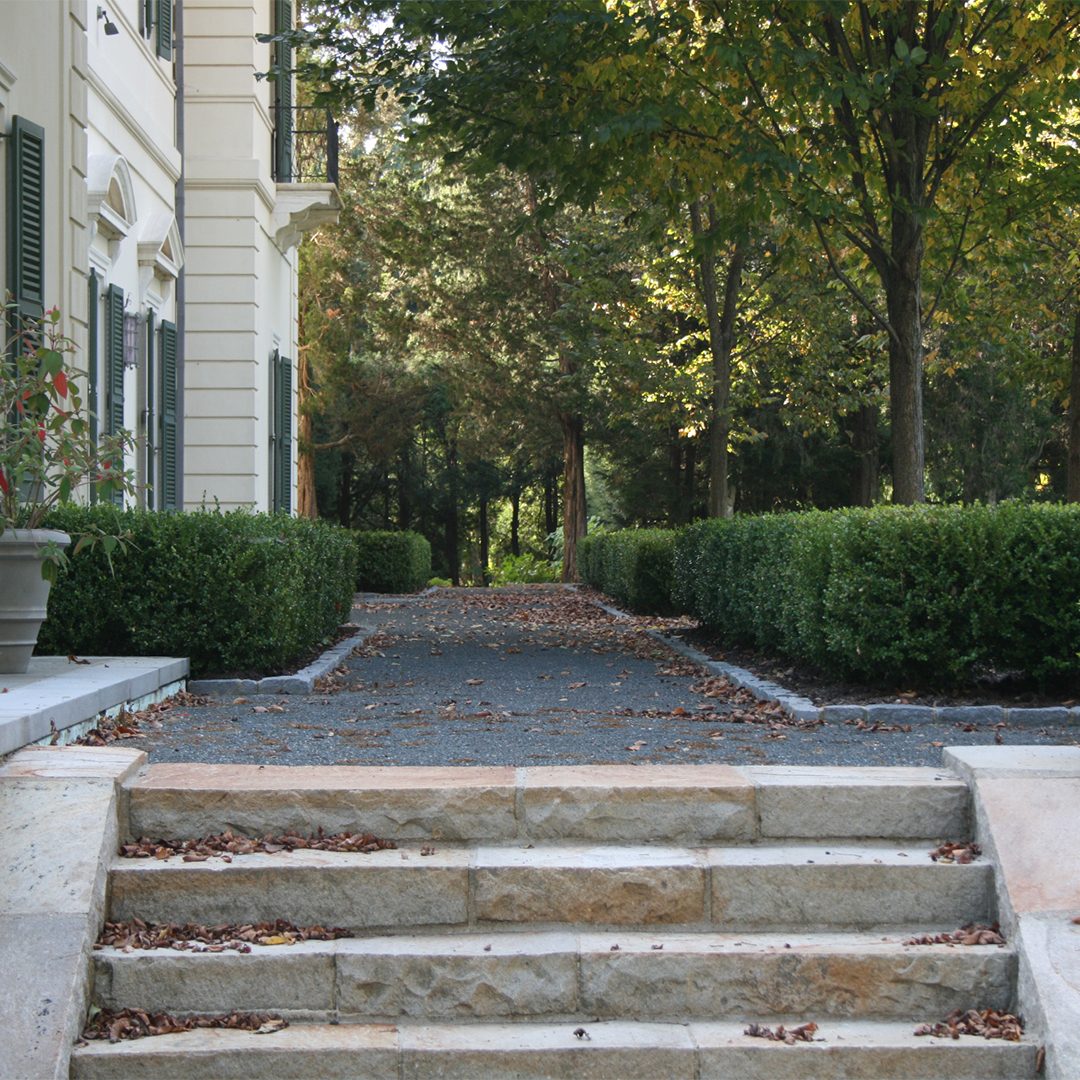 Estate Driveway Allee