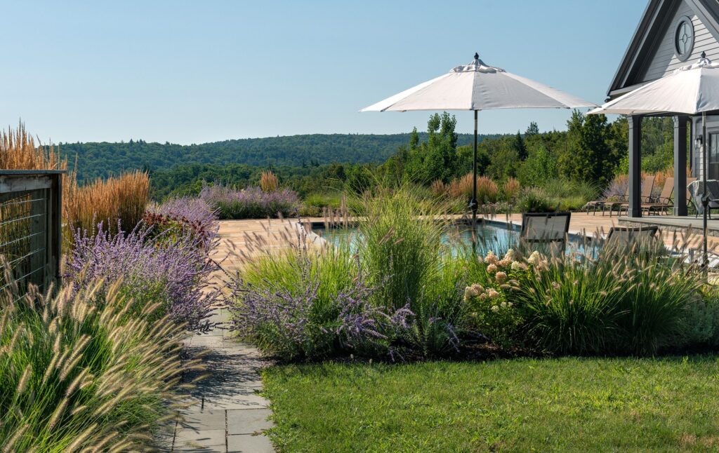 Perennial Border & Pool