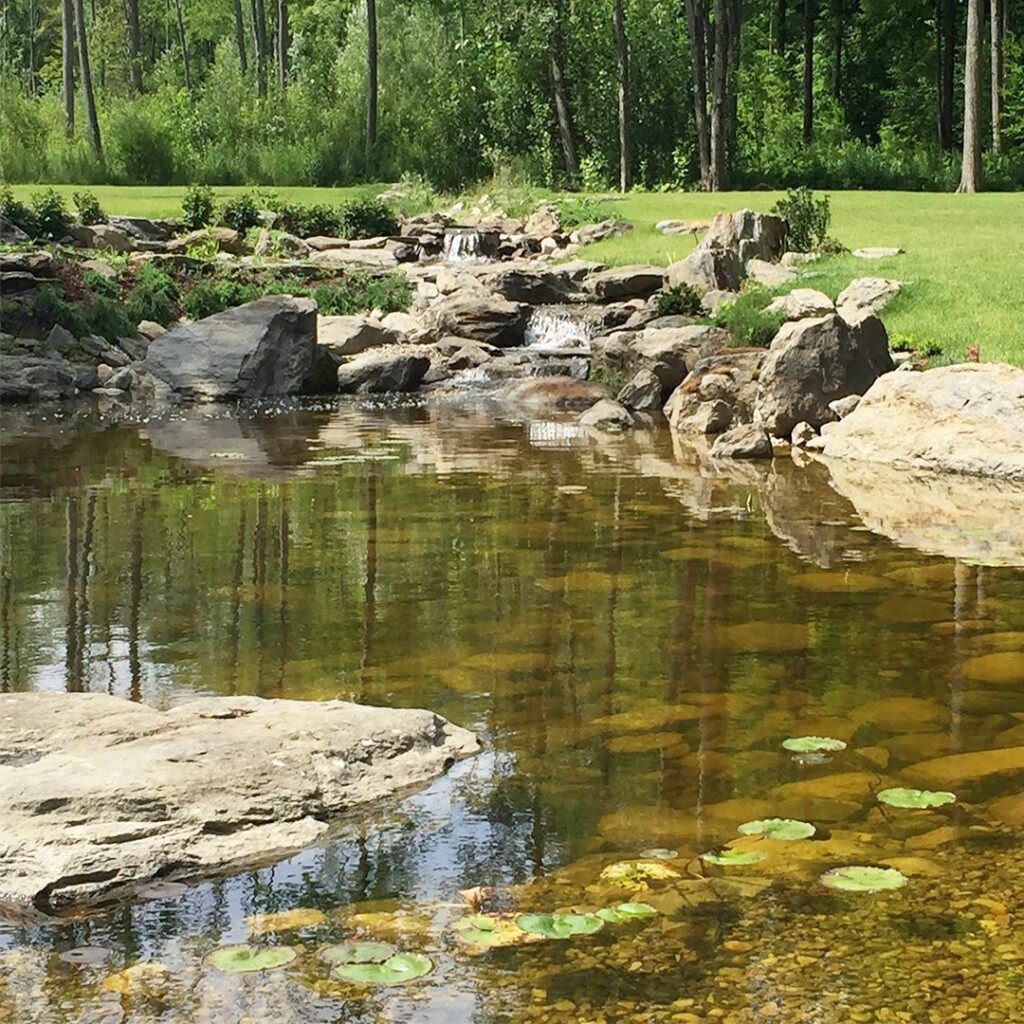 Naturalistic Pond & Waterfall