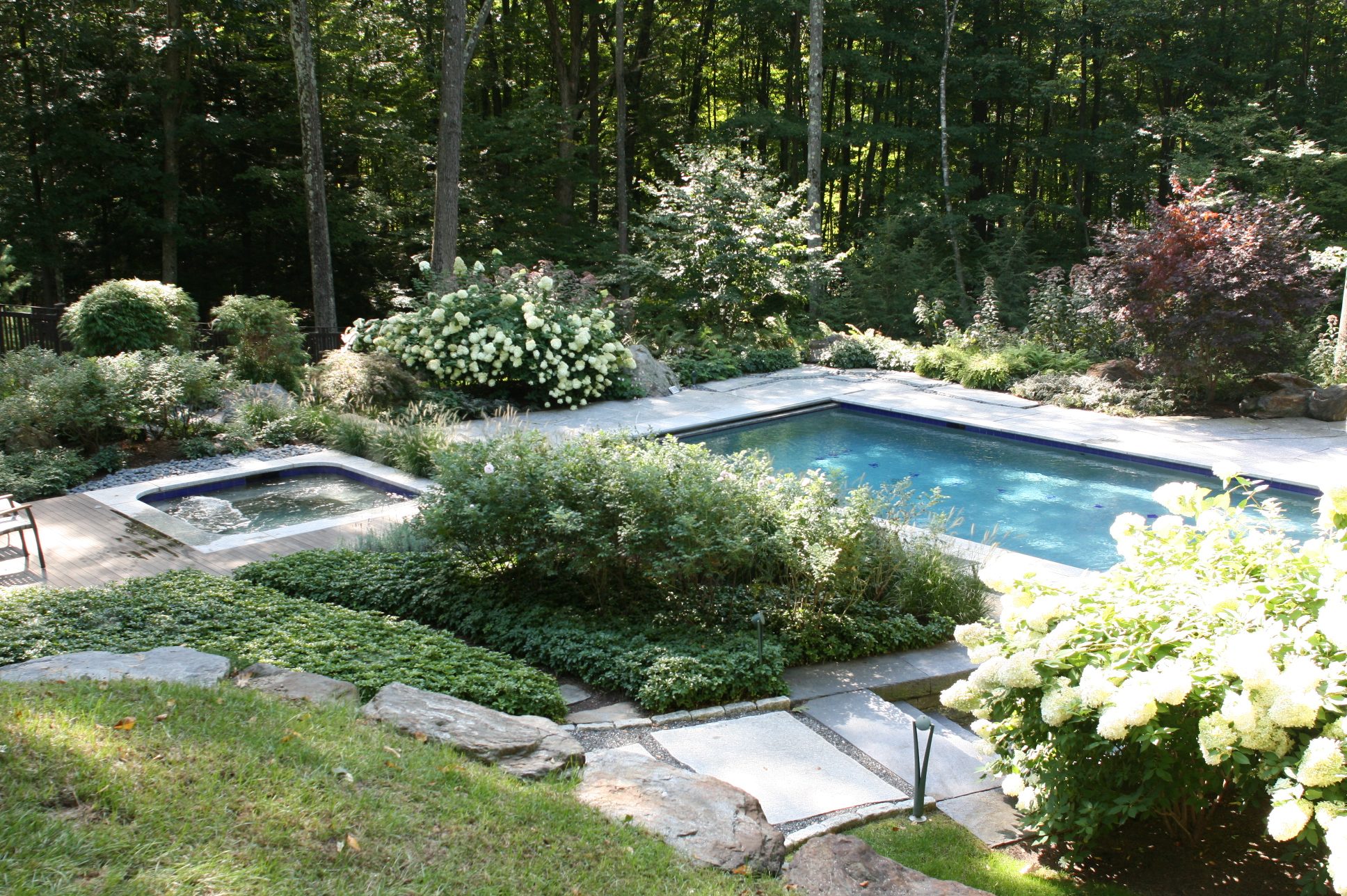 Pool Woodland Hydrangeas